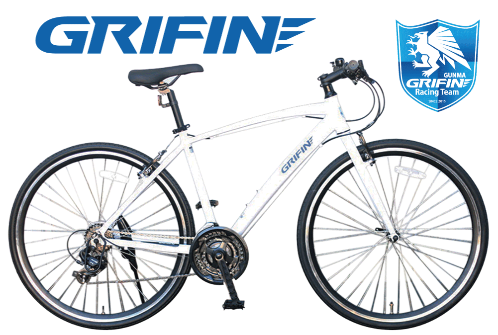 GRIFIN BIKE