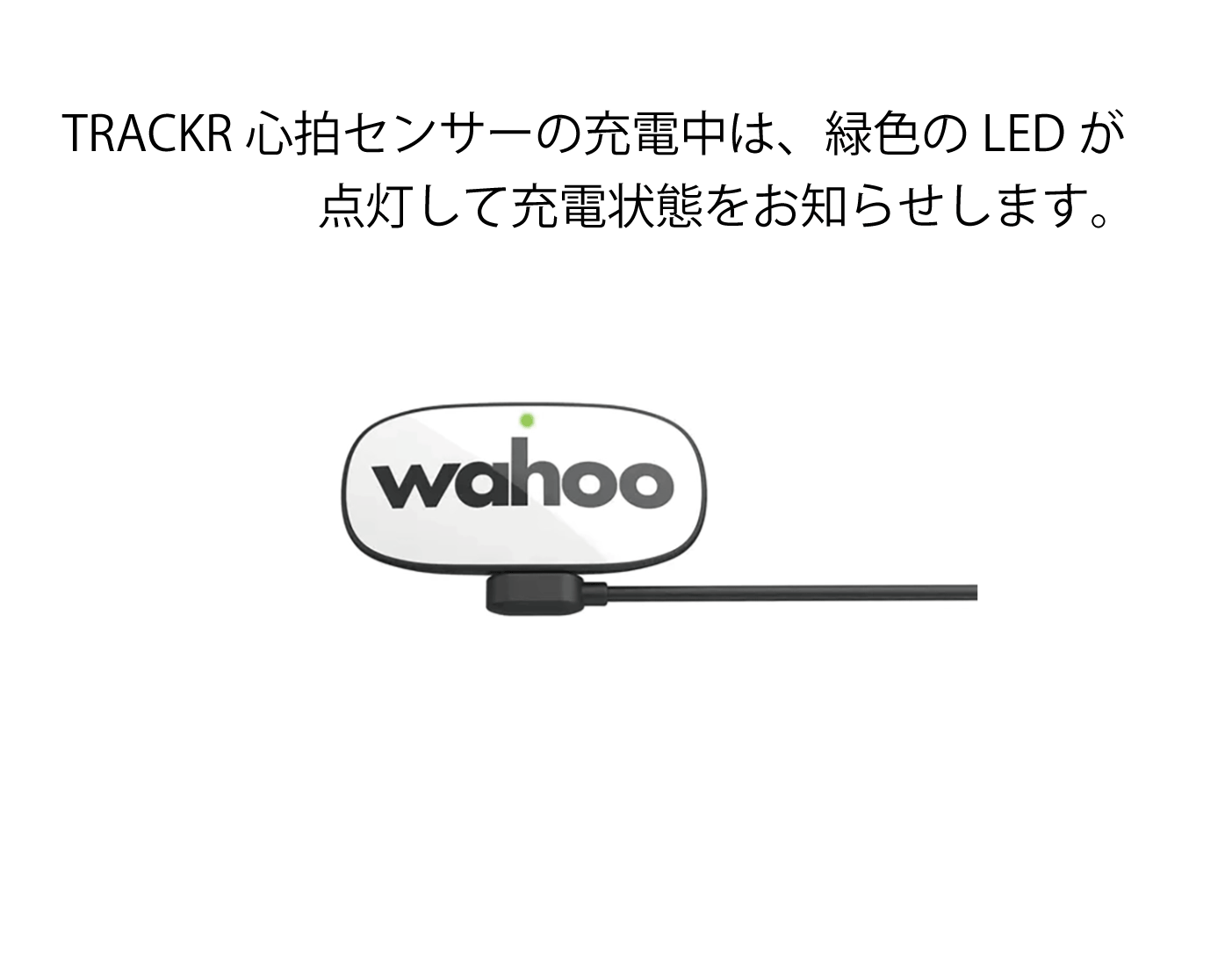 wahoo TRACR 心拍センサー